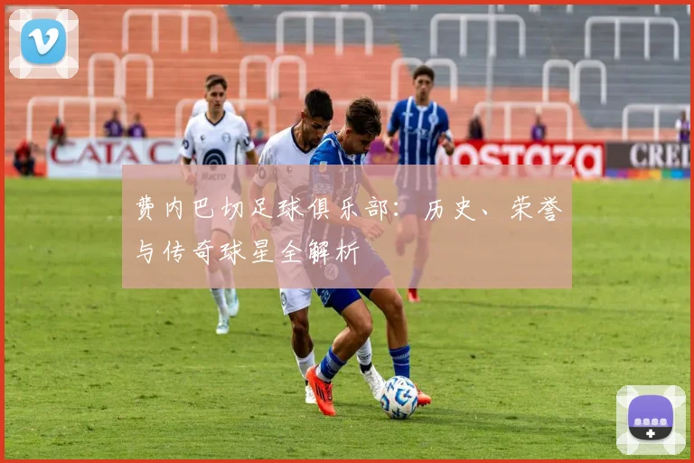 费内巴切足球俱乐部：历史、荣誉与传奇球星全解析
